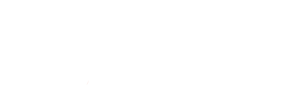 WeTranslate logo white