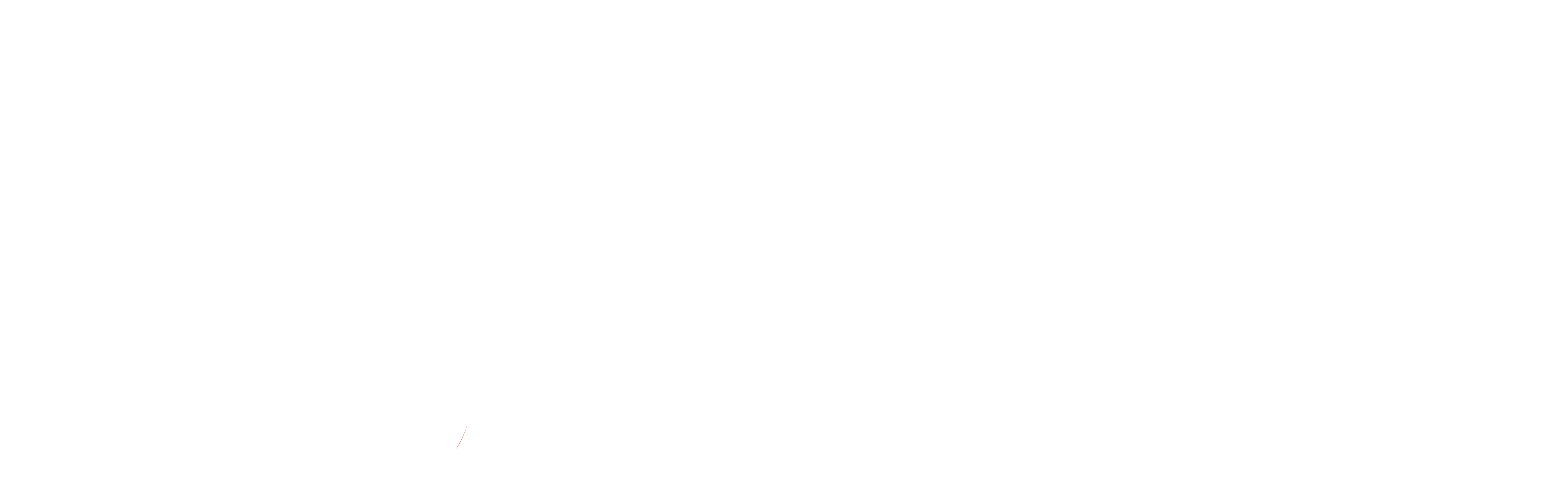 WeTranslate logo white