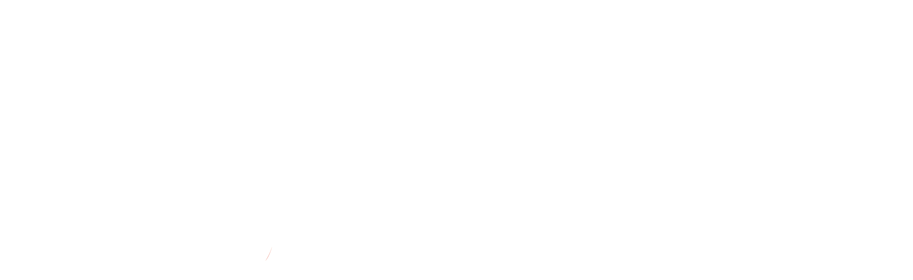 Our Team 1 WeTranslate logo white